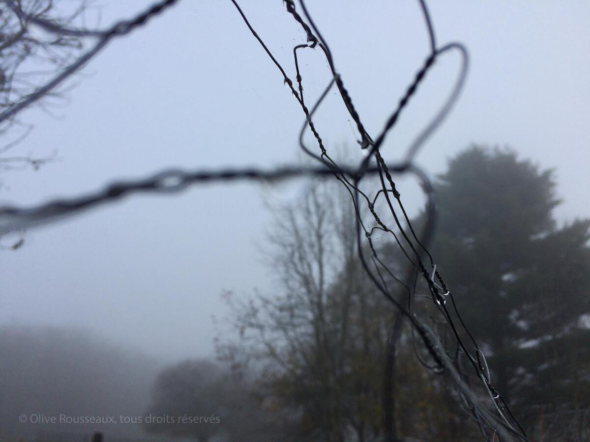Untitled Untitled